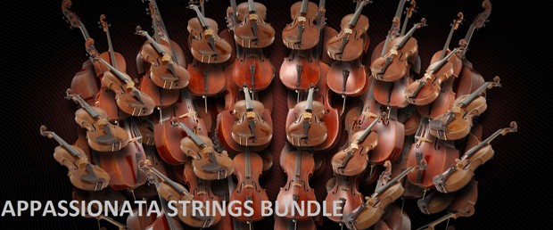 Appassionata Strings Bundle | VSL - Vienna Symphonic Library